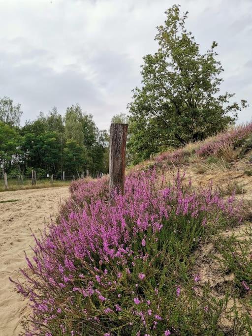 Fewo "Am Bienenstock" In Dallgow-Doberitz ภายนอก รูปภาพ